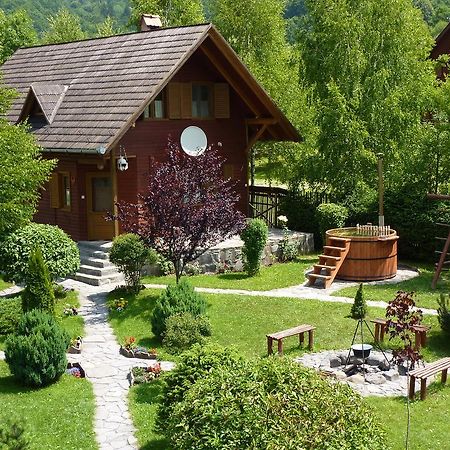 Nagy Lak Ii. Villa Sub Cetate Buitenkant foto